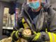 FW-DO: Feuerwehr befreit Schleiereule aus Stacheldraht