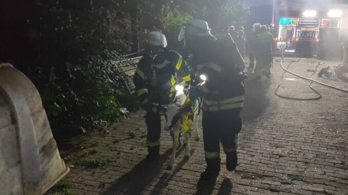 FW-KLE: Löschzug Rindern und Brandweer Millingen aan de Rijn üben den Ernstfall