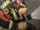 FW Norderstedt: Brennender Unterstand - Feuerwehr verhindert Brandausbreitung auf Kindertagesstätte