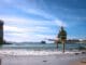 person sitting on driftwood near seashore during daytime