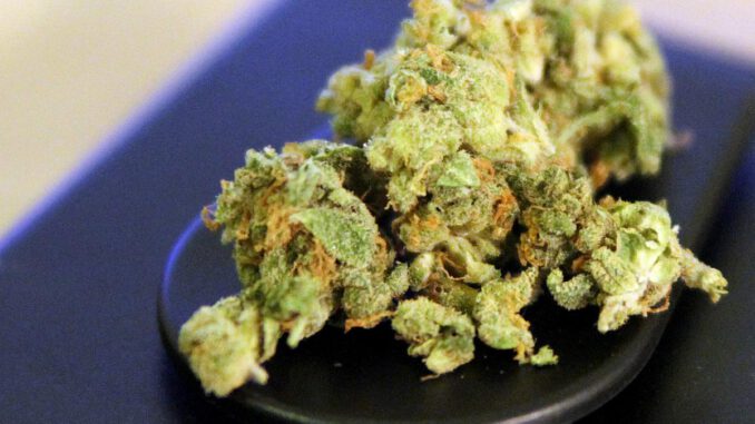 Cannabis, über dts Nachrichtenagentur