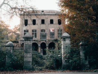 architectural photography grey building