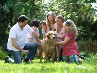 group of people standing on green grass field during daytime