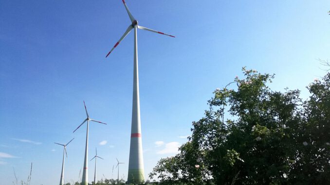 Windräder bei Tantow in Brandenburg, über dts Nachrichtenagentur