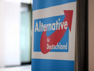 Alternative für Deutschland (AfD), über dts Nachrichtenagentur
