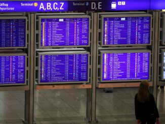 Frau vor Informationstafel am Frankfurter Flughafen, über dts Nachrichtenagentur