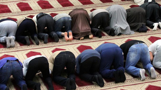 Gläubige Muslime beim Gebet in einer Moschee, über dts Nachrichtenagentur