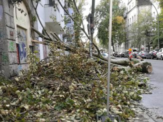 Schäden nach Sturm, über dts Nachrichtenagentur