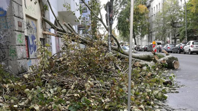 Schäden nach Sturm, über dts Nachrichtenagentur