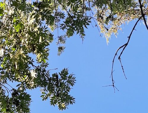 20220702_195927.jpg