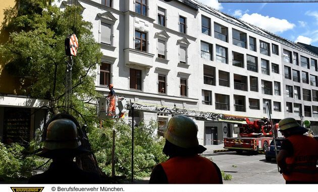 2022_08_02_Felitzschstrasse_19_presse.jpg