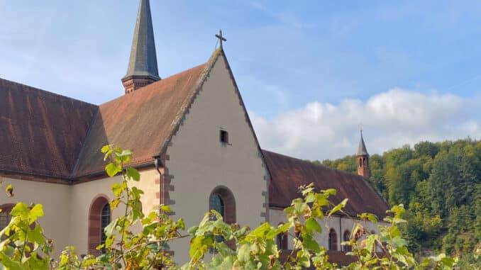 wertheim.de - Wanderung durch den Klosterweinberg