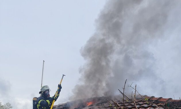 FeuerinGartenlaube.jpg