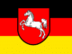 Auf einer Fläche von rund fünf mal drei Metern ist der mögliche Tagesbruch freigelegt und gesichert worden.